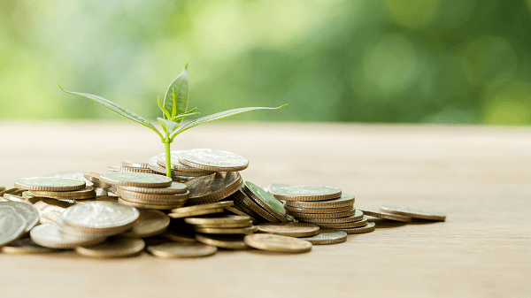 3 ervas que atraem dinheiro para sua vida - planta nascendo na moeda