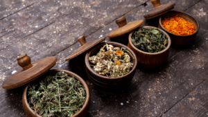 5 Plantas para Incluir no seu dia a dia